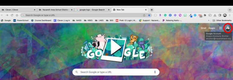 Google Login Icon